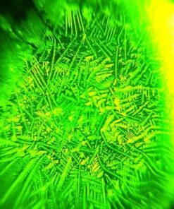 Fairhaven Health Fertile Focus Ovulation Test Kit - Women's Fertility Tracker and Predictor - 3 Days in Advance - Ovulation Kit - Accurate, Reusable Home Saliva Test - Results in Five Minutes 43 51mtf9MIiL