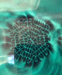 CMS MAGNETICS - 4x6" Green Magnetic Flux Viewing Film for Revealing Hidden Magnetic Field Patterns in Permanent Magnets for Science Projects, Research and STEM Education in Magnetism 4 x 6" Green Film 21 51mwBM0aMVL