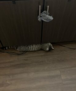 SKYLA HOMES Baby Locks (8-Pack) Child Safety Cabinet Proofing - Safe Quick and Easy 3M Adhesive Cabinet Drawer Door Latches No Screws & Magnets Multi-Purpose for Furniture Kitchen Ovens Toilet Seats 8 Count (Pack of 1) White 38 51n3M2ONW3L