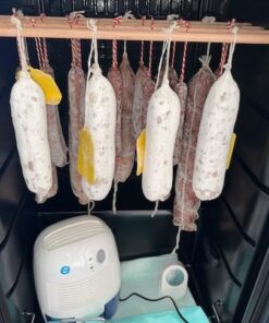 Whisper-quiet Eva-Dry EDV-1100 16 OZ Dehumidifier with Auto Shut Off and Restart for small spaces in your Home, RV, Automobile, and Storage up to 1100 cu. ft. (122 sq. ft) 31 51n8mwxbNVL