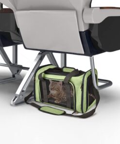 Henkelion Pet Carrier for Small Medium Cats Dogs Puppies up to 15 Lbs, Airline Approved Small Dog Carrier Soft Sided, Collapsible Travel Puppy Carrier - Green 17.0"L x 11.0"W x 11.0"H 25 51nNdTIIYeL
