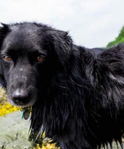 Fujifilm XF14mmF2.8 R Black 14mm f2.8 Lens Single Item 36 51nOq oNDL