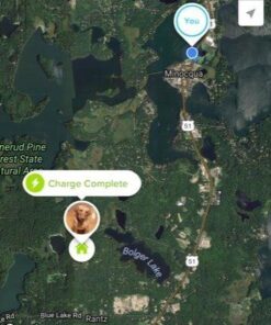 Whistle 3 / GPS Pet Tracker & Activity Monitor / Grey 46 51nVD3kwnaL