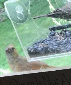 Yardly Noticed Window Bird Feeder with Removable Tray, Drain Holes, Extended Perch, 4 Suction Cups - Crystal Clear See Through Design 2017 - See Wild Birds Up Close, Great for Kids & Cats Large 28 51nZtBqRdFL