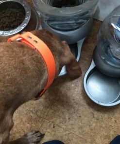 Petmate Replendish Automatic Gravity Waterer for Cats and Dogs, BPA-Free, No Batteries Required, Includes Charcoal Filter, 1 Gallon, Made in USA Silver 1 GAL 50 51ngHViGVvL