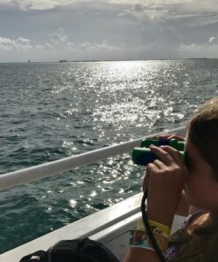 Binoculars for Kids 8x21 High-Resolution - Kids Binoculars Gift Set for Boys & Girls, Shockproof & Compact for Bird Watching, Travel, Hiking, Camping, Hunting, Children Outdoor Gear Green/Blue 43 51nlsVQDOrL 1