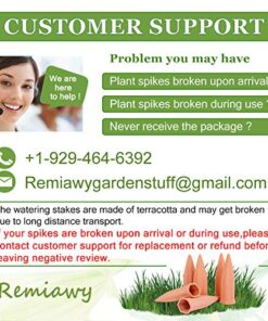 REMIAWY Plant Watering Stakes 6 Pack Automatic Plant Waterers for Vacations, Plant Watering Devices Terracotta Self Watering Spikes for Wine Bottles Great Watering Spikes for Indoor & Outdoor Plants 27 51nx RE7aL 1