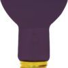 GE 22752 50-Watt BlackLight R20 Light Bulb, 1-Pack R20 Blacklight