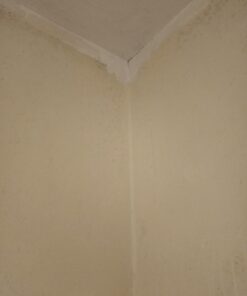 RMR-86 Instant Mold Stain and Mildew Stain Remover Spray - Scrub Free Formula, 32 Fl Oz 32 Fl Oz (Pack of 1) 37 51o6Fo9UCkL