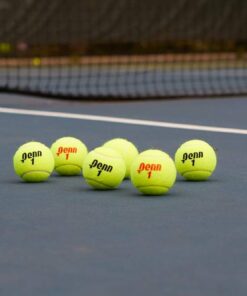Penn Championship Tennis Balls - Extra Duty Felt Pressurized - 4 Cans, 12 Balls 24 51oRFrQqjL