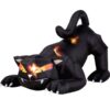 Sunstar Industries 23623G Airblown Animated Cat 15 51oZxf9V9L