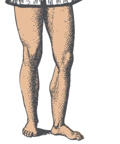 Utter Nonsense Naughty Edition Old Version 22 51pQig7OdXL