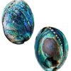 Polished Abalone Shell, 4.5" to 5.5", in Gift Box, for Smudging, Cleansing, Meditation, Home Décor and to Gift. 100% Natural Shell - Sustainably Sourced by Ocean Shell Studios New Zealand Shell Only