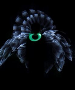 Rokinon 14mm f/2.8 IF ED UMC Ultra Wide Angle Fixed Lens w/ Built-in AE Chip for Nikon 60 51q3JIQInOL