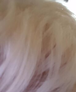 MANIC PANIC Virgin Snow Hair Toner - Classic High Voltage - Semi Permanent Blue Toner for Blonde, Bleached, Brassiness Orange Hair & Brassy Tones - Vegan, PPD & Ammonia-Free 38 51q3LlvDG5L 1