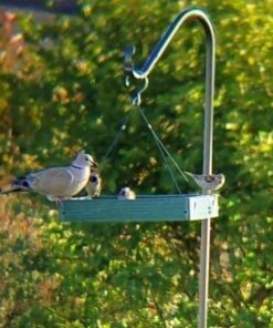 Woodlink Going Green Platform Bird Feeder Model GGPLAT 56 51q3otma6WL