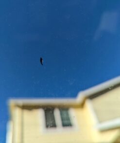 Rain-X 600001 Windshield Repair Kit - Quick And Easy Durable Resin Based Kit for Chips and Cracks, Good For Round Damage Below 1" In Diameter And Cracks Smaller Than 12" In Length, BLUE,YELLOW Pack of 1 Clear 56 51q4iSxSCBL