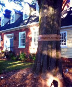 Alternative view of Walter E Clark 4-Inch by 150-Foot Tree Wrap 00304 1-(Pack)