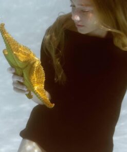 Zonman DSLR Camera Univeral Waterproof Underwater Housing Case Pouch Bag for Canon Nikon Sony Pentax Brand Digital SLR Cameras Transparent 45 51qJkZJhTuL