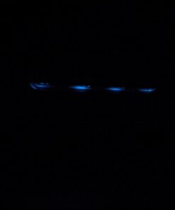 OXYLED Tap Closet Lights, One Touch Light, Stick-on Anywhere 4-Led Touch Tap Light, Cordless Touch Sensor LED Night Light, Battery Operated Stair Safe Lights, 140° Rotation 1 Pack 37 51qVKmK n1L