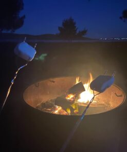 Tekonsha 90160 Primus IQ Electronic Brake Control, Grey 25 51qpNQdgX1L