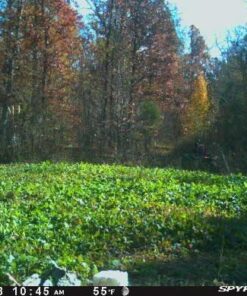 Antler King Honey Hole Mix 35 51r1eTuskPL