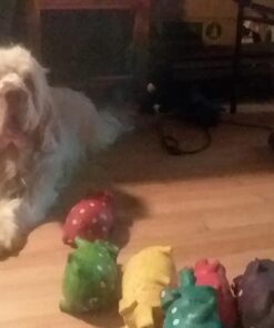 Wellness CORE Healthy Joints Crunchy Dog Treats (Previously Marrow Roasts), Natural Grain-Free Treats, Made with Real Meat, No Artificial Flavors (Beef, 8-Ounce Bag) 62 51r4vhKvmnL