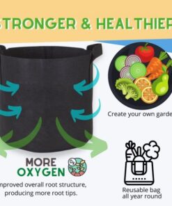 247Garden 5-Pack 1-Gallon Aeration Fabric Pot/Plant Grow Bag w/Handles (260 GSM, Black, 6H x 7D) 1 Gallon 31 51r6QpUsaL