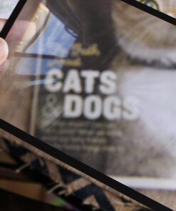 MagniPros Premium 3X (300%) Page Magnifying Lens with 3 Bonus Bookmark Magnifiers for Reading Small Prints, Low Vision Aids & Solar Projects 58 51rBTwgBxrL