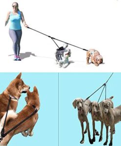 Heavy Duty 3 Dog Leash No Tangle Multiple Dog Leash Triple Dog Leash(30-200 Lbs) Double Dog Leash for 2 Dogs,360°Swivel 3 Way Dog Leash Interchangeable Two Dog Leash with Hand-Protected Handle L / For 20LBs - 150LBs Dogs Black 29 51rNsMDsOL