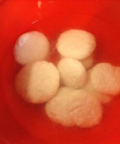 Standing Stone Farms Basic Beginner Cheese Making Kit - Mozzarella, Burrata, Burricota, Chevre, Ricotta, Mascarpone & Butter! 42 51rpn1oDdL