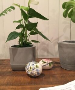 Hartline 10006 Rockite Cement 15 Min 5 Lb, No Size, White, 80 Ounce 1 31 51s55MQqfzL