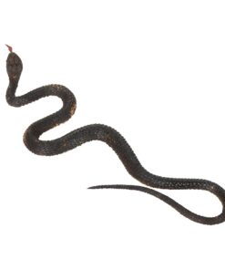 Alternative view of Goolsky Simulation Black Rubber Snake Fake Snake Garden Props Tricky Funny Toy (Brown)