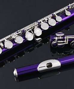Glory Closed Hole C Flute With Case, Tuning Rod and Cloth,Joint Grease and Gloves Purple 10 51tR 7NqOML