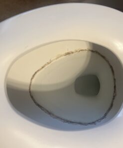 Powerstone Pumice Stone Toilet Bowl Cleaner with Handle (1-pack) - A Solution for Hard Water Stains on Toilets, Grills, Tiles, Grout & Pools Pack of 1 47 51tYMesYCwL