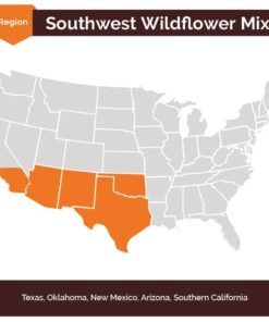 Eden Brothers Southwest Wildflower Mixed Seeds for Planting, 1/4 lb, 120,000+ Seeds with Cornflower, Blanket Flower | Attracts Pollinators, Plant in Spring or Fall, Zones 3, 4, 5, 6, 7, 8, 9, 10 1/4 Pound 10 51td3EIDx1L