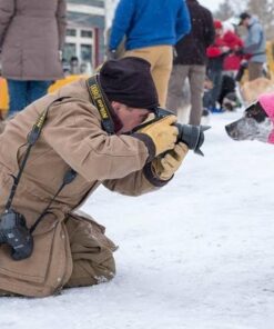 SanDisk Extreme Pro 32GB SDHC UHS-I Card (SDSDXXG-032G-GN4IN) 27 51tthLtENzL