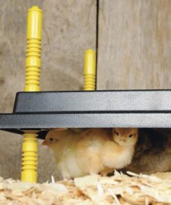 Alternative view of Premier Chick Brooder Heating Plate - 12" x 12"