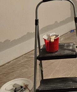 Pro Grade - Paint Brushes - 5 Ea - Paint Brush Set 44 51uQqvQw7L