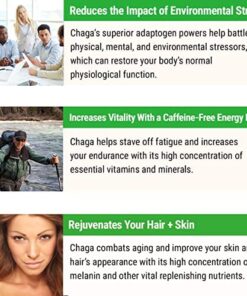 Sayan Siberian Raw Coarse Chaga Powder 4 Oz (113g) Wild Harvested Mushroom Tea, Powerful Adaptogen Antioxidant Supplement for Immune System and Digestive Health Chaga Coarse Powder 4 Ounce (Pack of 1) 14 51vKAv40cNL