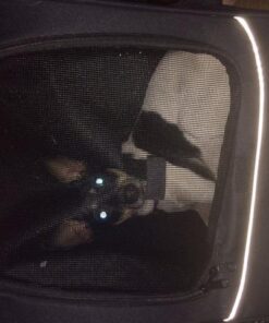 Pet Gear I-GO2 Roller Backpack, Travel Carrier, Car Seat for Cats/Dogs, Mesh Ventilation, Included Tether, Telescoping Handle, Storage Pouch 22.0"L x 13.5"W x 16.0"H 53 51w0ZEtBSoL