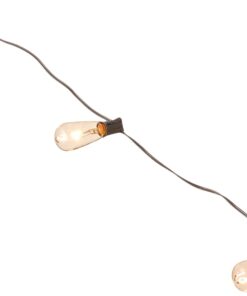 Gerson Everlasting Glow 92887 10 Count Patio Light Set with ST40 Glass Covers, 9'