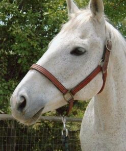 Epson Perfection V600 Color Photo, Image, Film, Negative & Document Scanner V600 - New 40 51wGs8van0L 1