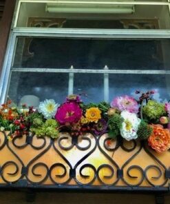 Nearly Natural 4665 Mixed Mini Peony Centerpiece Silk Flower Arrangement,10"D x 34"W x 6.5"H 10"D x 34"W x 6.5"H 36 51wLOFXLH7L