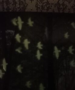 Glow In The Dark Postcards Set of 30 Woodland Animals Forest Deer Postcard Post Card Greeting Cards (Variety Pack) 40 51wRMQkginL