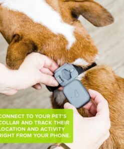 Whistle 3 / GPS Pet Tracker & Activity Monitor / Grey 34 51woPXjDdQL