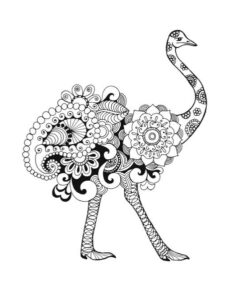 Adult Coloring Books: Animals - Stress Relief Coloring Book 46 51x7yhcREuL