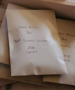 Set of 50 Blank Proterra Seed Envelopes W/ Self Sealing Adhesive (3.25" W by 4.50" H) 24 51xCXsUpeL