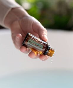 Alternative view of doTERRA Eucalyptus Essential Oil - 15 mL