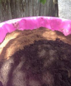 Michigan Peat 40 Pound Garden Magic Compost and Manure with Odor Free Blend and Naturally Moist and Fibrous for Lawn and Garden 40-Pound 12 51y7NEuIliL